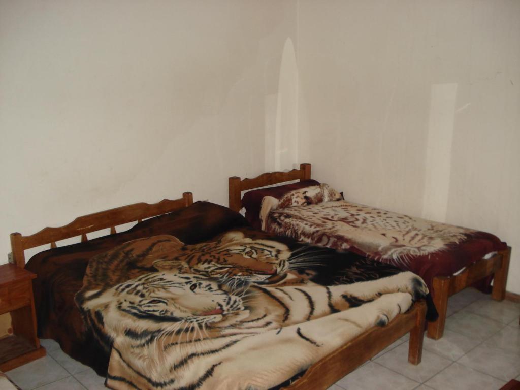 Hotel Danaly 살토 객실 사진